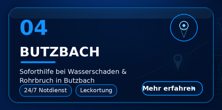 Butzbach Wasserschaden Butzbach – Leckageortung und Feuchtemessung