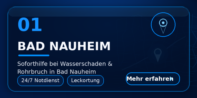 Bad Nauheim Wasserschaden Notdienst Bad Nauheim – Leckortung und Trocknung