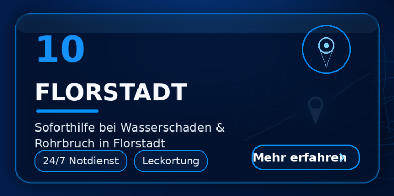 Florstadt Wasserschaden Florstadt – Trocknung und Feuchtemessung